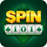 Spin 101